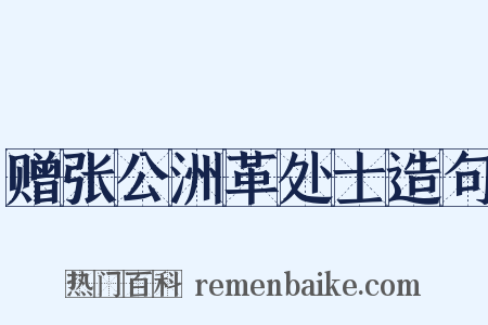 赠张公洲革处士造句是什么意思的图片